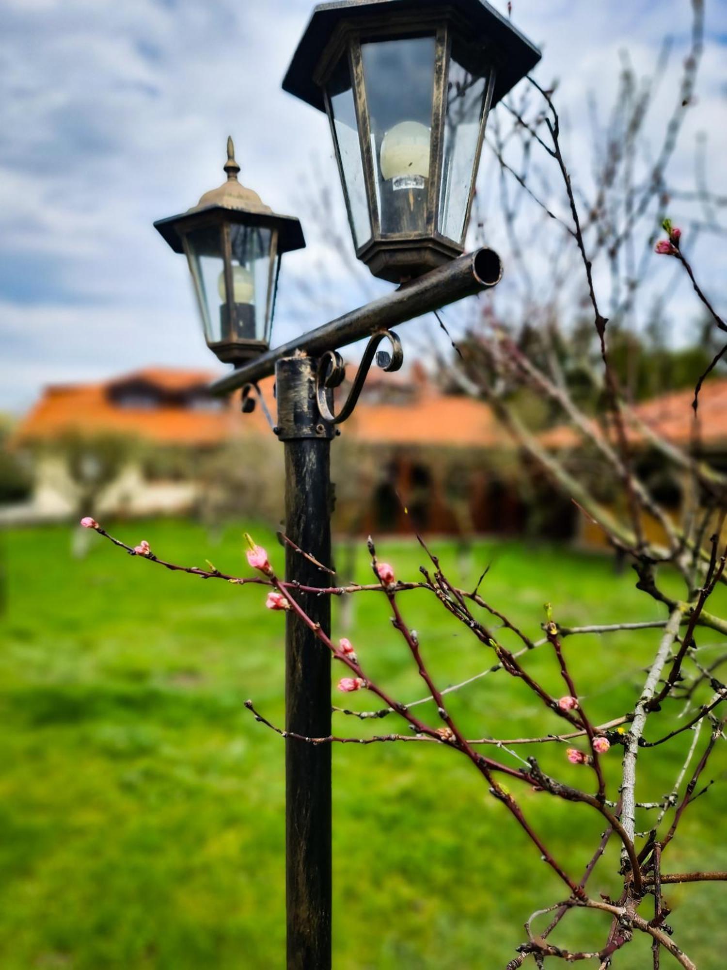 Gosciniec Gryszczeniowka & Spa Wargowo Bagian luar foto