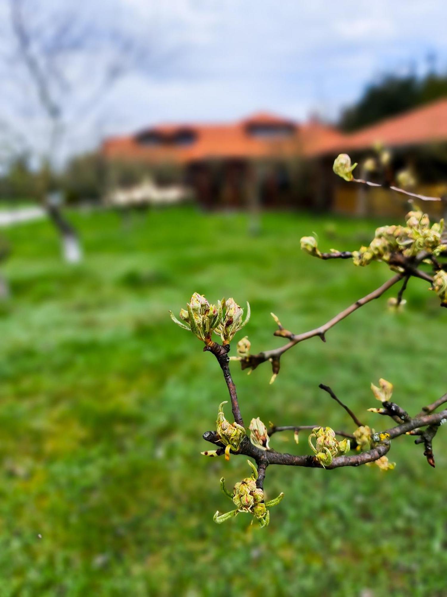 Gosciniec Gryszczeniowka & Spa Wargowo Bagian luar foto