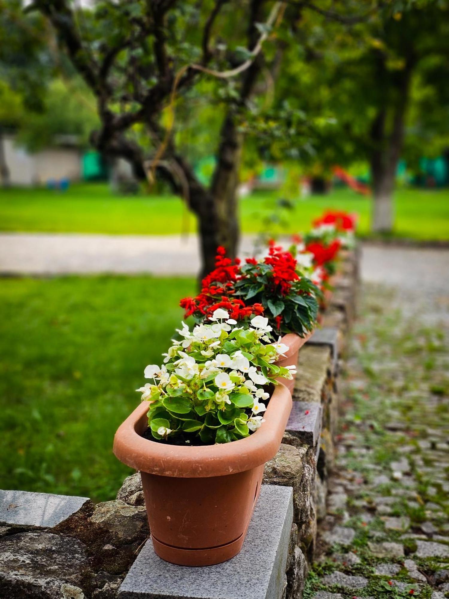 Gosciniec Gryszczeniowka & Spa Wargowo Bagian luar foto